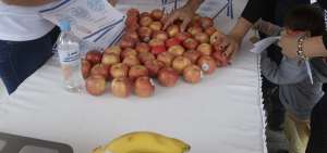 Los vegetales y frutas proporcionan al organismo vitaminas y minerales necesarios para crear un balance adecuado.