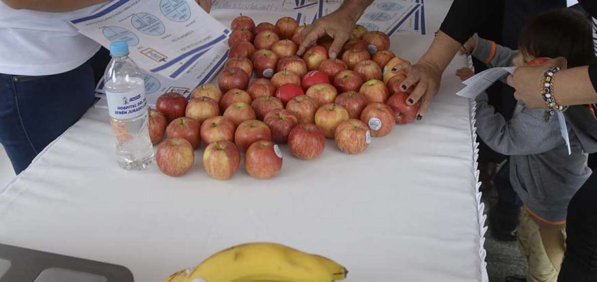 Los vegetales y frutas proporcionan al organismo vitaminas y minerales necesarios para crear un balance adecuado.