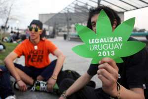 Las farmacias de Uruguay vender&iacute;an marihuana dentro de ocho meses