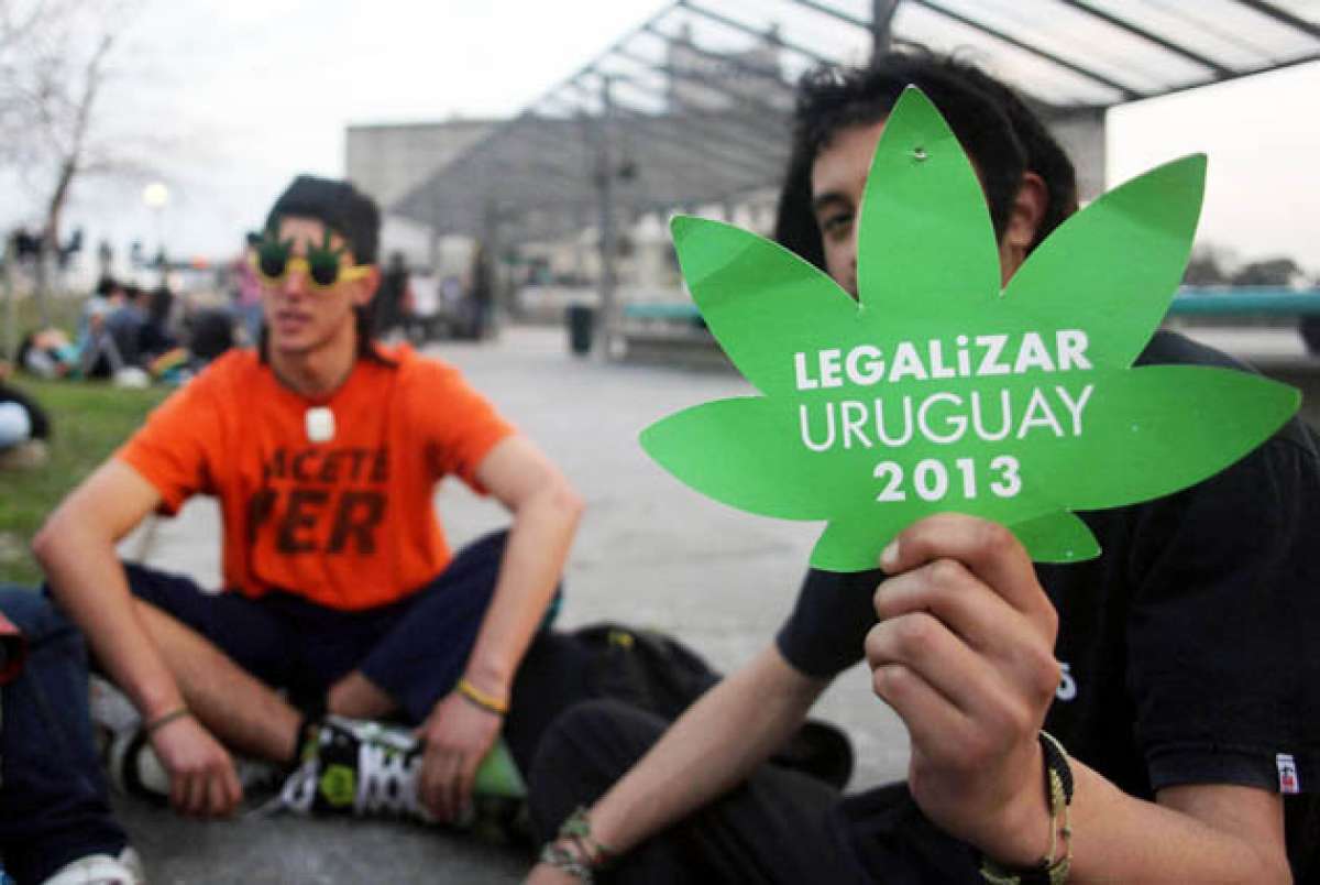 Las farmacias de Uruguay vender&iacute;an marihuana dentro de ocho meses