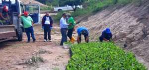 Productores de Saraguro reciben plantas de caf&eacute;