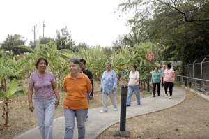 Personas de la tercera edad podr&aacute;n distraerse y hacer ejercicios en estos programas. Foto: Pilar Vera |  El Tel&eacute;grafo