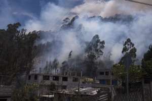 Los incendios en Quito consumen varias hect&aacute;reas de la biodiversidad de la capital. Foto: Daniel Molineros/ EL TEL&Eacute;GRAFO 