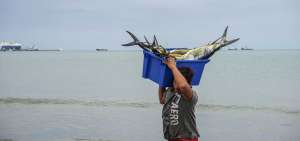 El Acuerdo es el primer tratado internacional centrado espec&iacute;ficamente en el control de la pesca ilegal no declarada y no reglamentada.