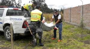 Las quemaduras causaron graves da&ntilde;os al perro, por lo que se le tuvo que aplicar la eutanasia. 