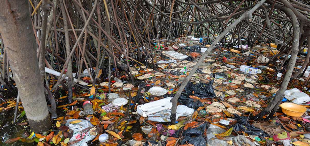 Envases de plumaf&oacute;n, fundas, platos y vasos de pl&aacute;stico flotan en el Estero Salado de Guayaquil.