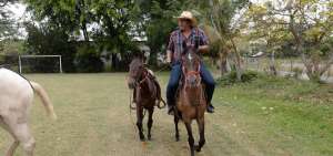 L&eacute;ster Cano Briones, de la hacienda El Gran Chaparral, del cant&oacute;n Samborond&oacute;n, cabalga un caballo criollo.