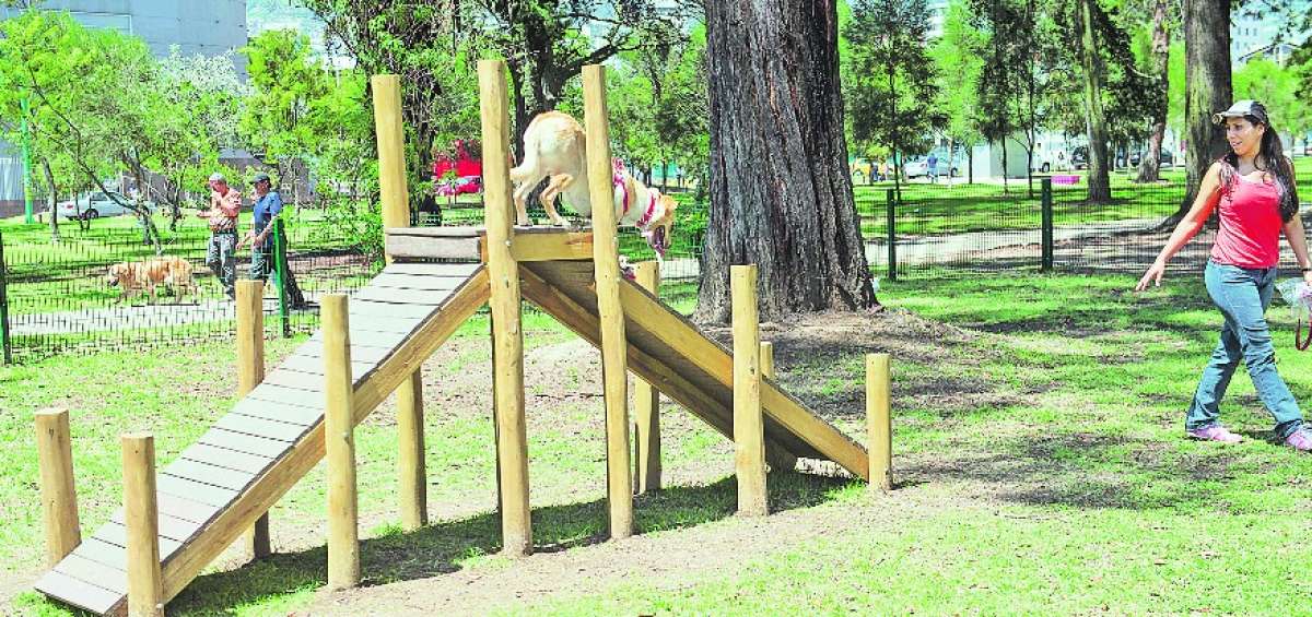 Las mascotas acompa&ntilde;an a sus due&ntilde;os en diversas actividades diarias, entre ellas las de tipo deportivo.
