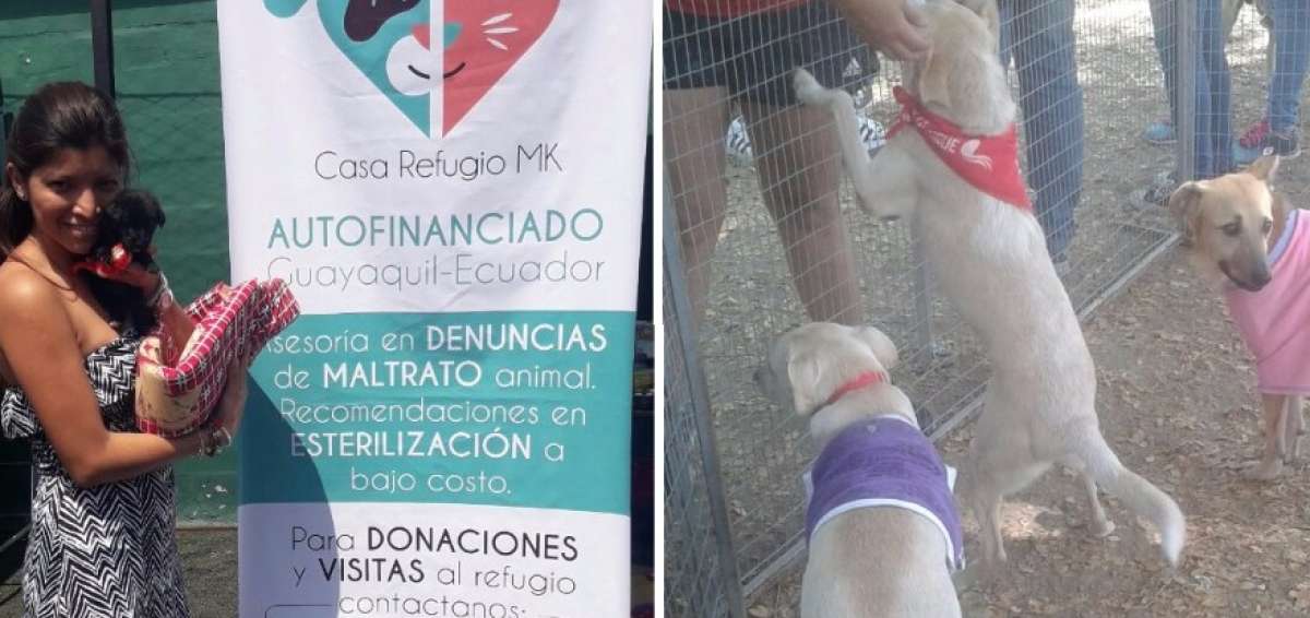 Rescate Animal y Casa Refugio realizaron jornada de adopci&oacute;n en Guayaquil