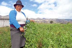 La idea de sembrar ecol&oacute;gicamente recorre los campos de 2 parroquias