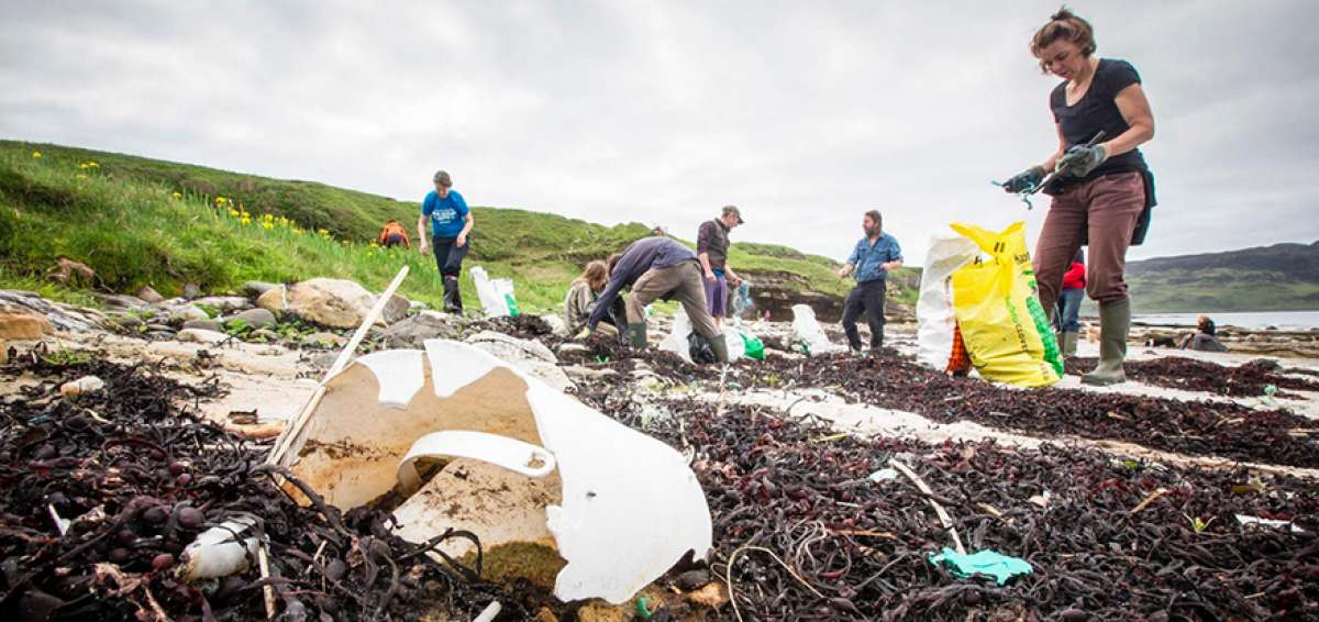 Los micropl&aacute;sticos afectan a tiburones peregrinos, focas y ballenas. Greenpeace hall&oacute; basura en los nidos de aves. 