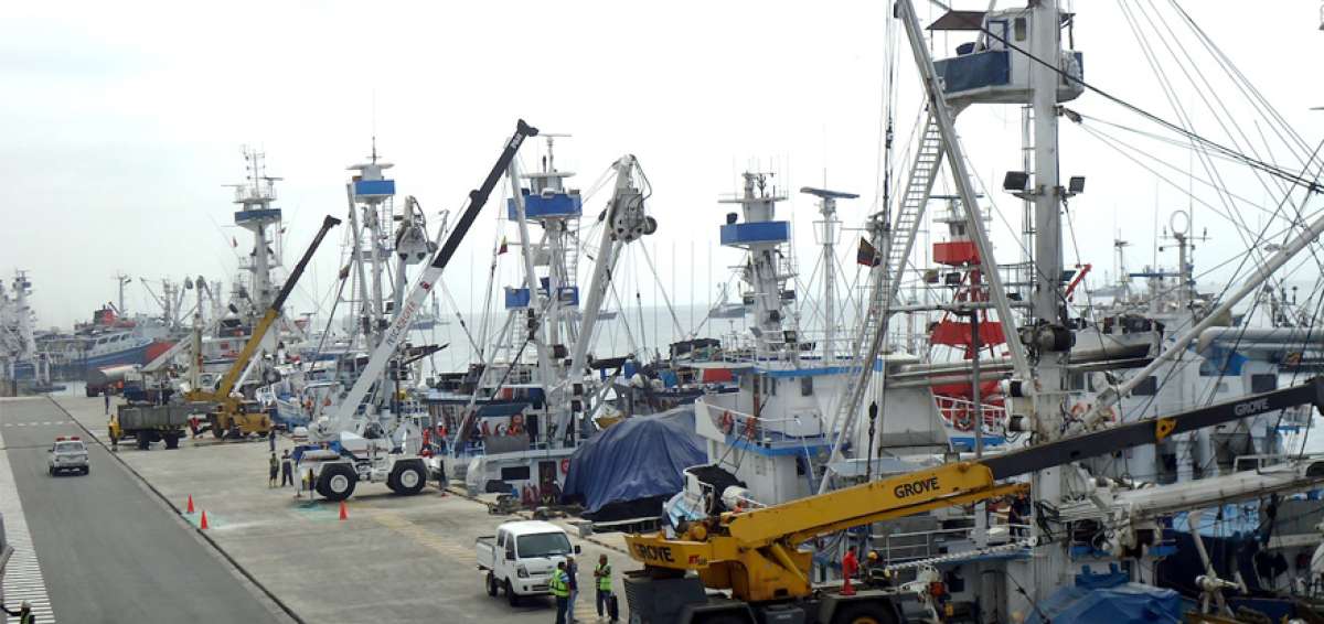Obras en el Terminal Pesquero y de Cabotaje permitir&aacute;n la capacidad de descarga de 1.500 a 2.000 toneladas m&eacute;tricas de barcos nacionales e internacionales.