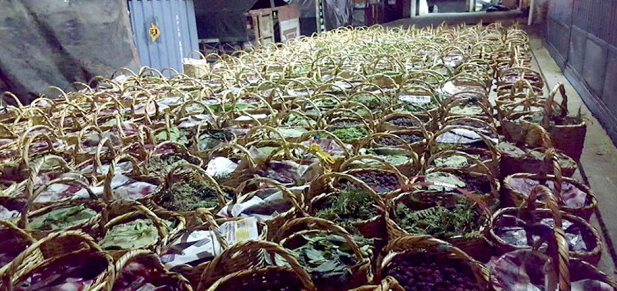 MAG decomis&oacute; m&aacute;s de $ 4 millones de productos en las fronteras