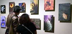 Personas visitan la muestra &ldquo;El arte de comer insectos&rdquo; en el museo del Anguio Colegio de San Ildefonso, en Ciudad de M&eacute;xico (M&eacute;xico).