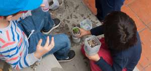 Los campamentos vacacionales son una opci&oacute;n de entretenimiento l&uacute;dico, con costos razonables, para que los ni&ntilde;os aprovechen sus d&iacute;as libres.