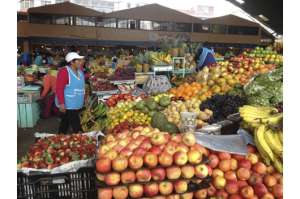 La producci&oacute;n local tiene aceptaci&oacute;n