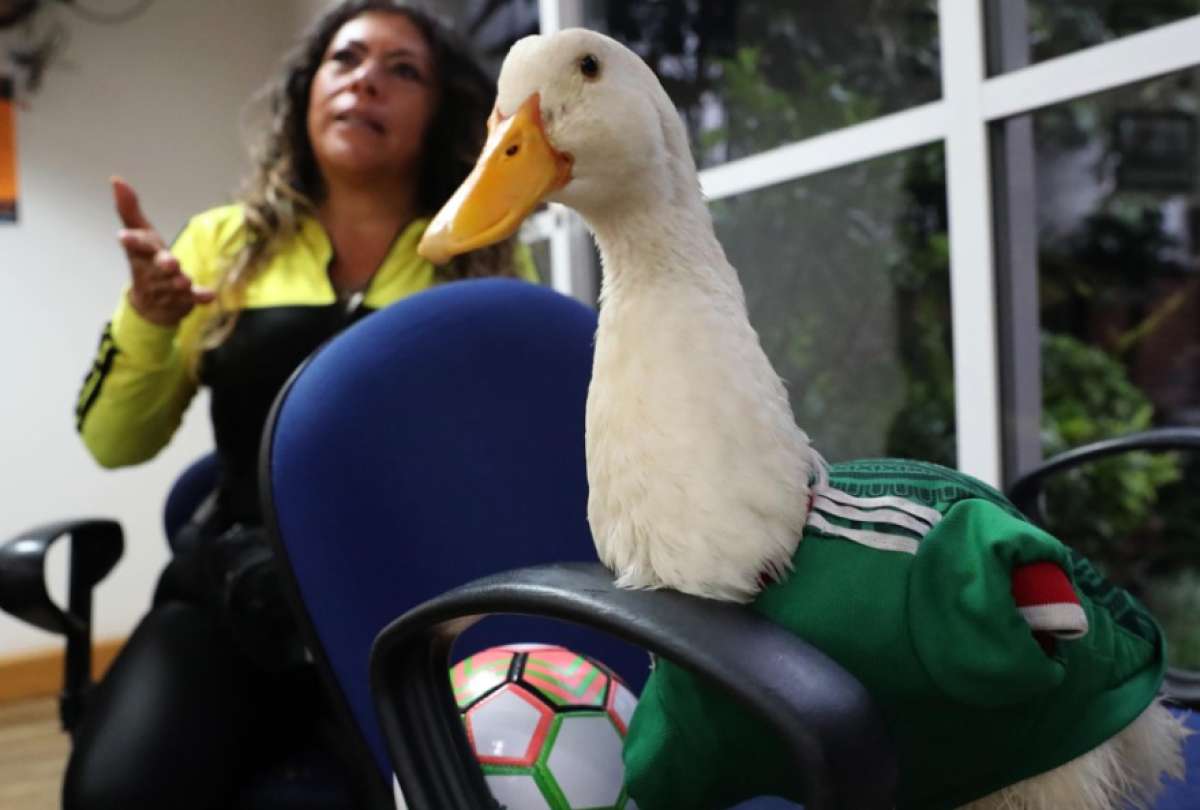 Calder&oacute;n defiende a la familia de Merl&iacute;n y pide apoyo econ&oacute;mico a la FIFA 