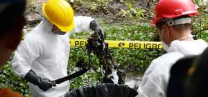 Trabajadores de Balsasud recogen los lechuguines contaminados con hidrocarburo en Las Mercedes.