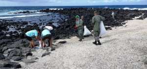 En 2018 se extrajeron m&aacute;s de 24 toneladas de desechos pl&aacute;sticos en las islas Gal&aacute;pagos, seg&uacute;n cifras oficiales.