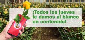 Hasta el momento el primer curso ha impactado a m&aacute;s 100 personas y 700 inscritas para el siguiente m&oacute;dulo.