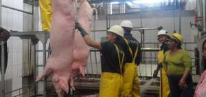 El camal municipal da las facilidades para que los ciudadanos puedan despostar los animales y de esta forma garantizar la calidad de la carne.