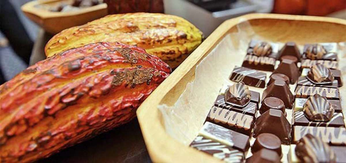 Consumo del chocolate en el Ecuador es bajo