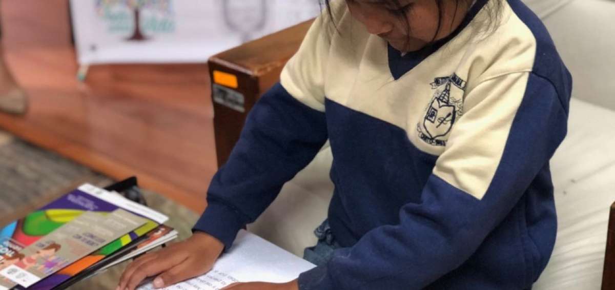 Las publicaciones comprenden un tiraje de 5.110 ejemplares de cinco cuentos infantiles.