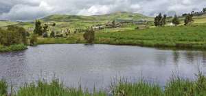 El objetivo promordial del Fondo de P&aacute;ramos es preservar el recurso h&iacute;drico en las reservas naturales de los nueve cantones de Tungurahua.   