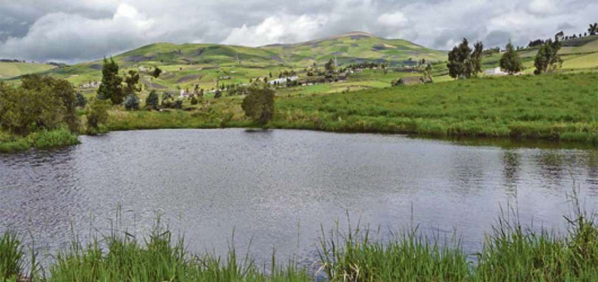 El objetivo promordial del Fondo de P&aacute;ramos es preservar el recurso h&iacute;drico en las reservas naturales de los nueve cantones de Tungurahua.   