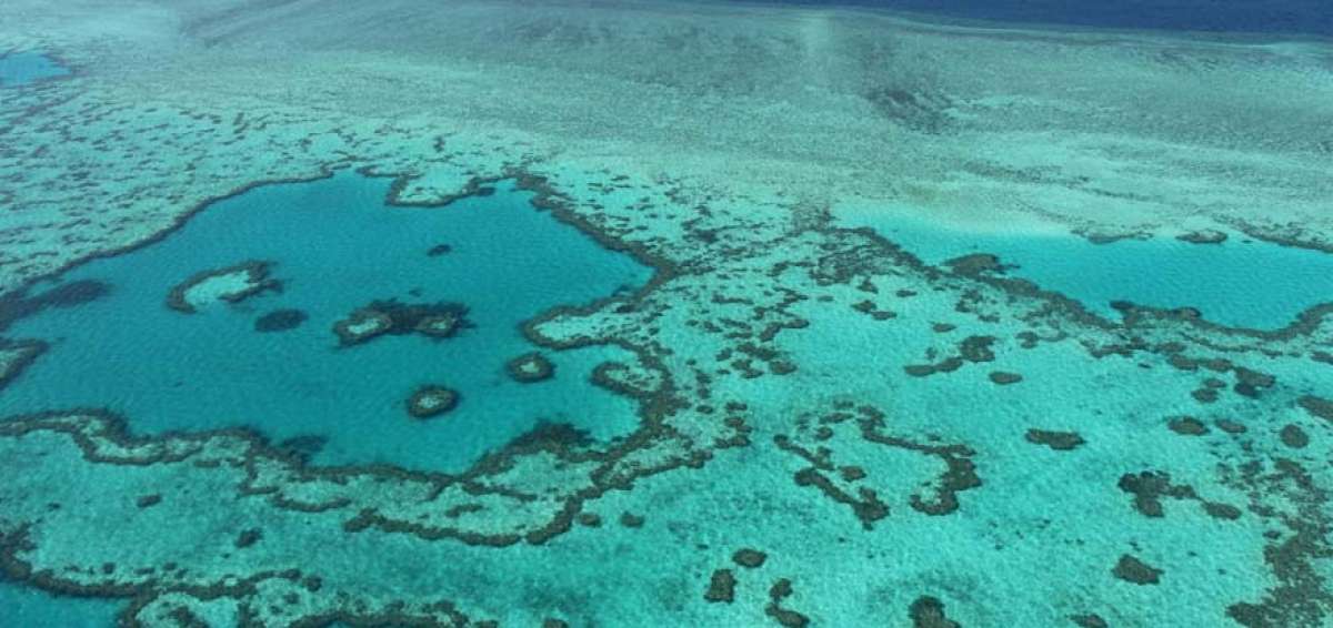 La Gran Barrera de Coral, en Australia, luce de distintos colores debido a alteraciones clim&aacute;ticas originadas por la contaminaci&oacute;n a nivel mundial. 