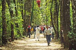 Rel&aacute;jate en el bosque