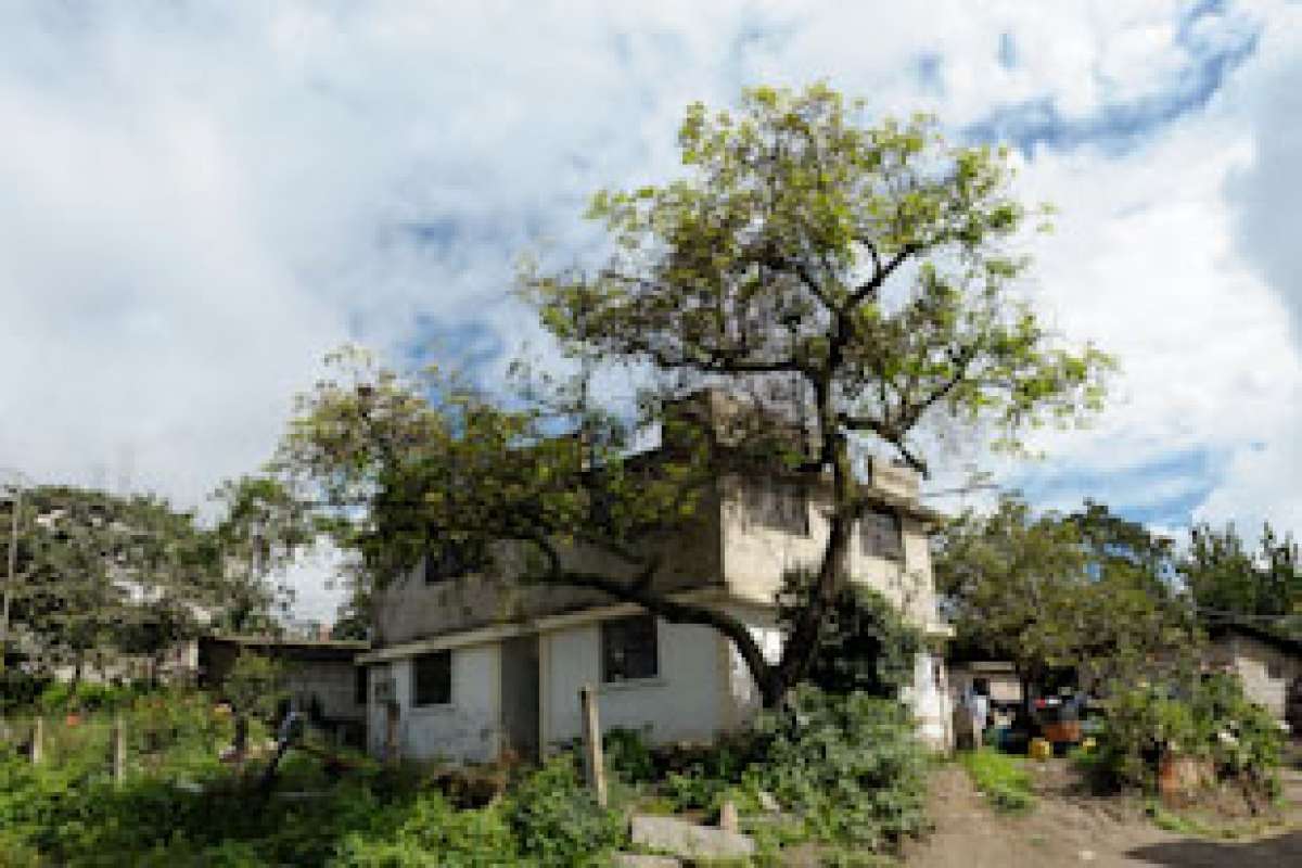 Cocotog es un sector cuyos or&iacute;genes se pierden en el tiempo 