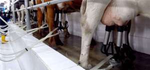 En el primer cuatrimestre de este a&ntilde;o se han producido 342 millones de litros de leche a escala nacional. Pichincha es la provincia con mayor participaci&oacute;n en el sector, con el 16,33%.