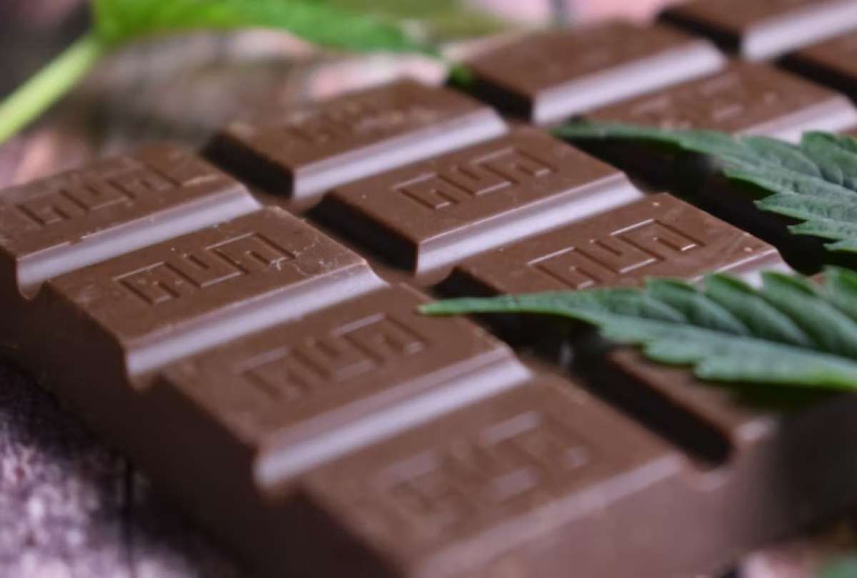 La intoxicación en niños se habría producido por el consumo de alimentos elaborados con cannabis.