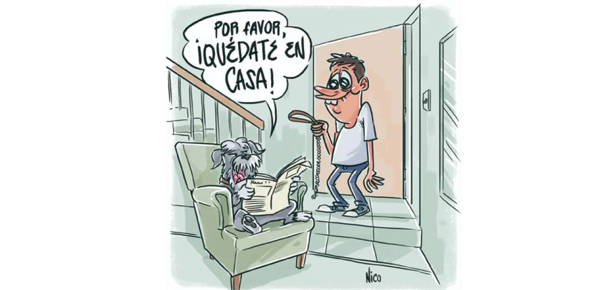 &iexcl;Tercos!