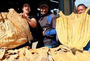 Los productos llegan desde Galápagos, Guayas, Manabí y Esmeraldas. 