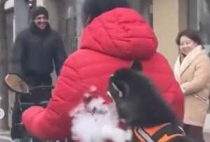 Un Husky se volvi&oacute; viral en redes sociales al dar un paseo como un tierno copiloto junto a su due&ntilde;o.