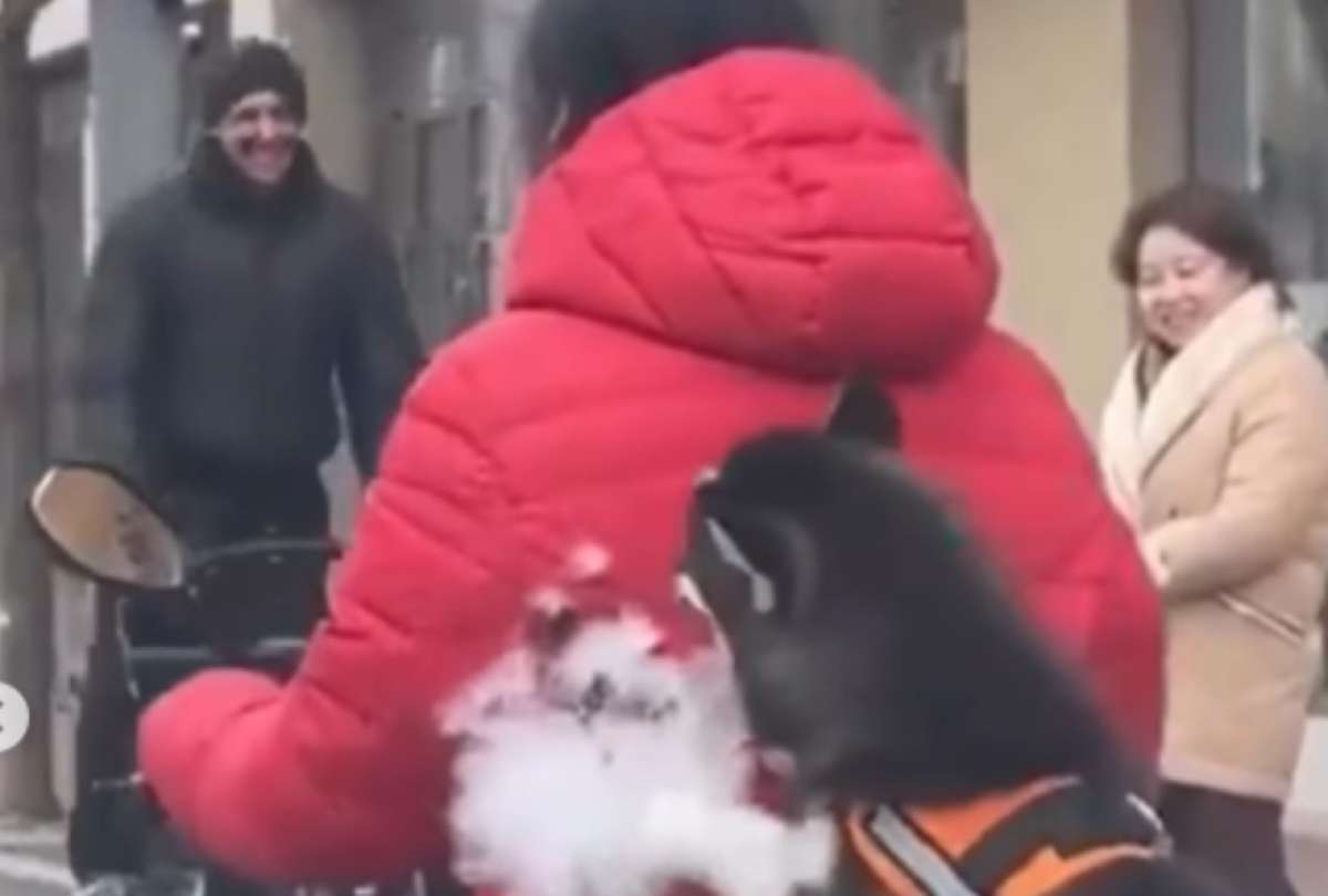 Un Husky se volvi&oacute; viral en redes sociales al dar un paseo como un tierno copiloto junto a su due&ntilde;o.