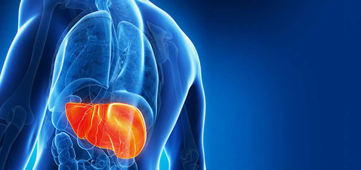 4 de cada 100 personas mueren por el virus de la hepatitis B