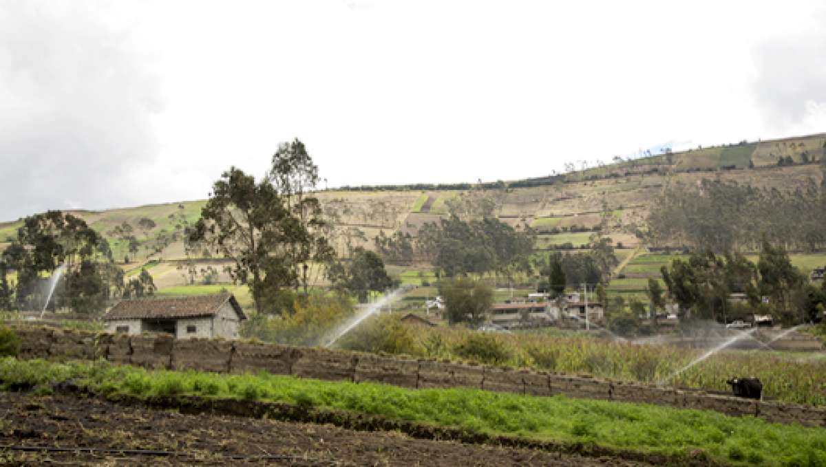 El 93% de los peque&ntilde;os y medianos campesinos riega sus parcelas por gravedad. El nuevo sistema (foto) aument&oacute; la productividad en el agro. Foto: Cortes&iacute;a