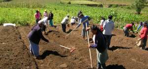 La producci&oacute;n del campo mejora con la tecnolog&iacute;a