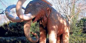 Diversas recreaciones del mamut se han realizado en los museos de historia natural del mundo. Foto: Cortes&iacute;a
