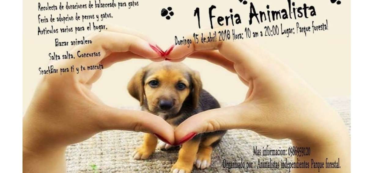 Feria animalista y jornada de adopci&oacute;n de mascotas se realizar&aacute; en el Parque Forestal
