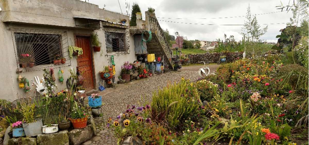 Las plantas ornamentales y medicinales abundan en esta propiedad familiar. Hay un criadero de truchas y tambi&eacute;n un pozo artificial para invocar a la suerte.