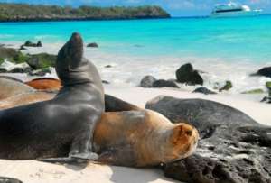 Galápagos en la lista de “World's Greatest Places 2022” por la revista TIME