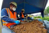 Medios de comunicación difundieron la noticia de la presunta desaparición de material mineralizado.