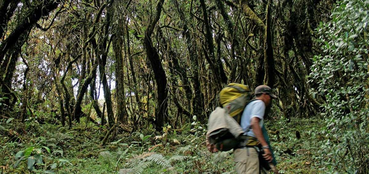 La FAO indic&oacute; que cerca de 1.500 millones de productores forestales y agr&iacute;colas suponen el 90% de los agricultores del planeta.    