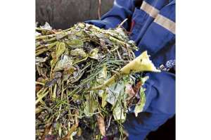 La planta de compostaje de Cuenca produce 30 toneladas de abono 