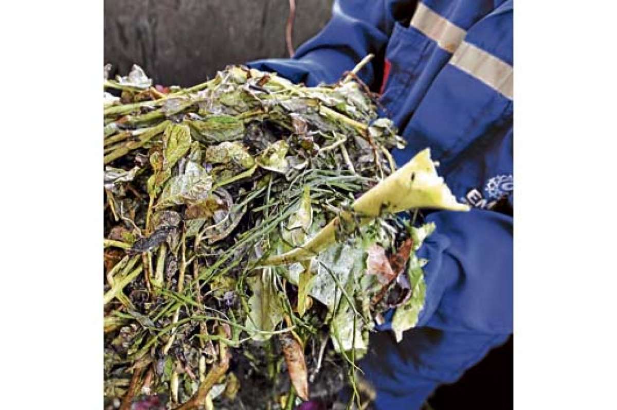 La planta de compostaje de Cuenca produce 30 toneladas de abono 