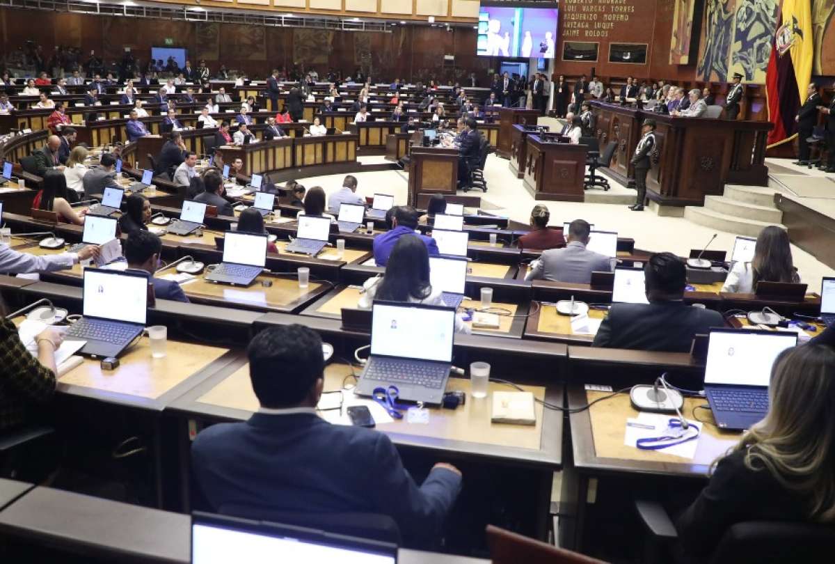El presidente de la Asamblea, Niels Olsen, convocó al pleno para continuar con la organización interna del Legislativo.